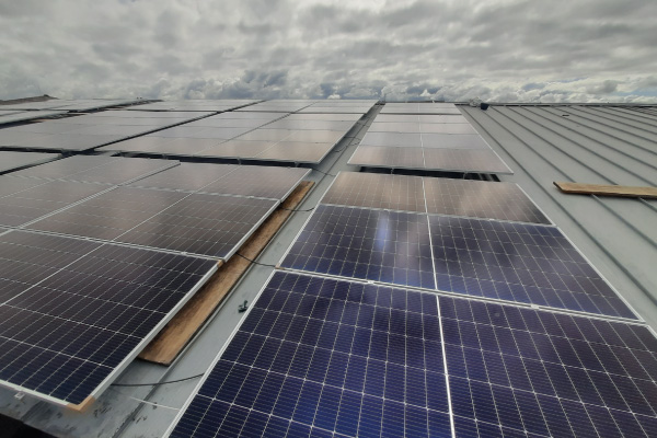 Productos alimenticios EL CARRIEL SAS