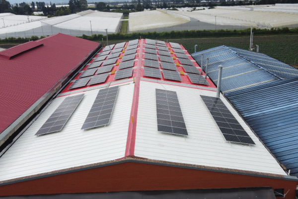 Empresa Retectire proyecto