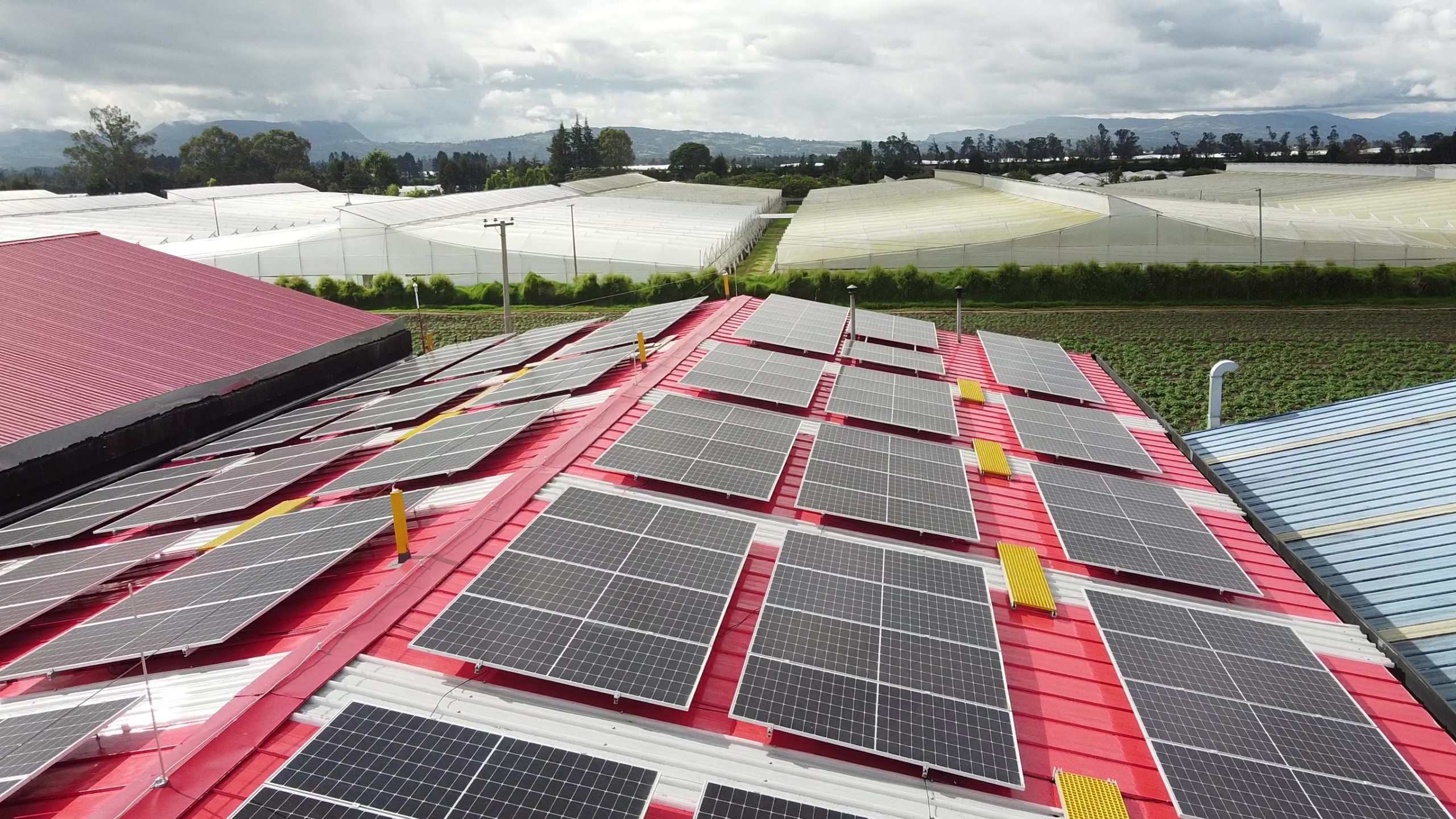 retectiresas - frame at 0m16s